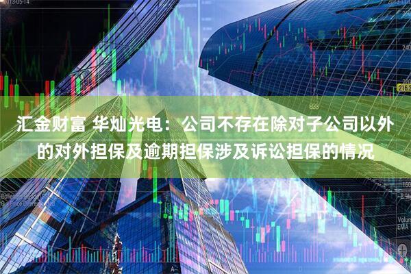 汇金财富 华灿光电：公司不存在除对子公司以外的对外担保及逾期担保涉及诉讼担保的情况