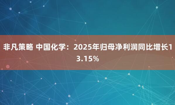非凡策略 中国化学：2025年归母净利润同比增长13.15%