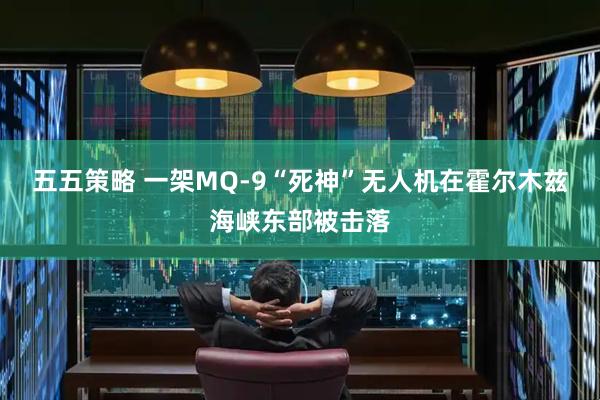 五五策略 一架MQ-9“死神”无人机在霍尔木兹海峡东部被击落