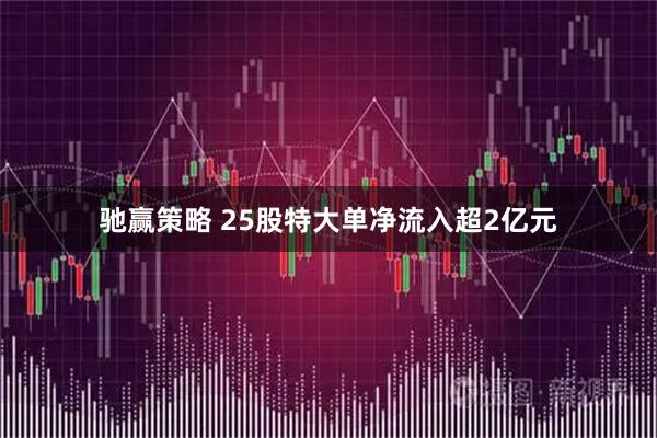 驰赢策略 25股特大单净流入超2亿元
