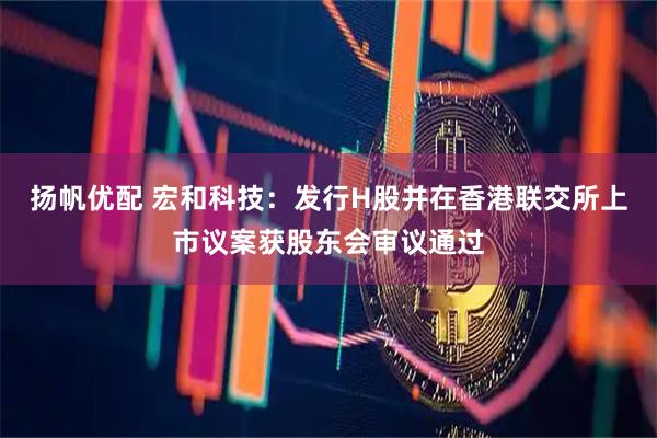 扬帆优配 宏和科技：发行H股并在香港联交所上市议案获股东会审议通过